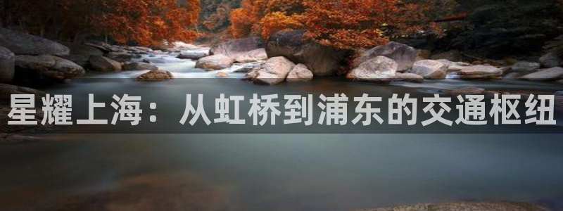 BB贝博艾弗森平台在线注册：星耀上海：从虹桥到浦东的交通枢纽