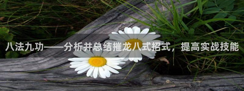BB贝博艾弗森2官网：八法九功——分析并总结摧龙八式招式，提高实战技能