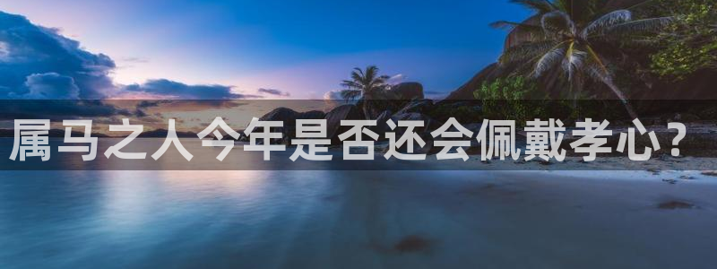 BB贝博艾弗森平台招商：属马之人今年是否还会佩戴孝心？