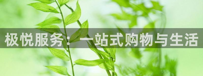 BB贝博艾弗森网页版登：极悦服务：一站式购物与生活