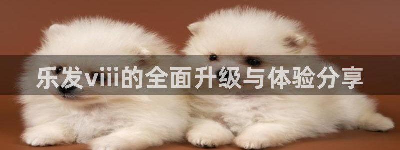 BB贝博艾弗森app最新版：乐发viii的全面升级与体验分享