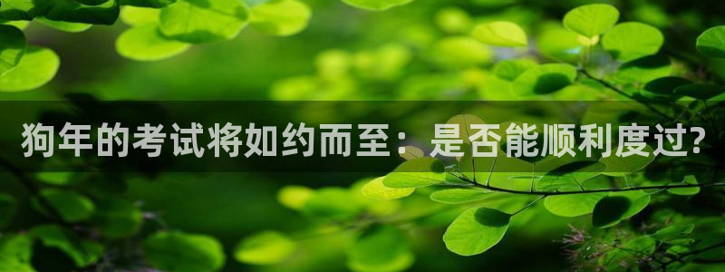 BB贝博艾弗森.ccmpc正版官网版下载：狗年的考试将如约而至：是否能顺利度过?