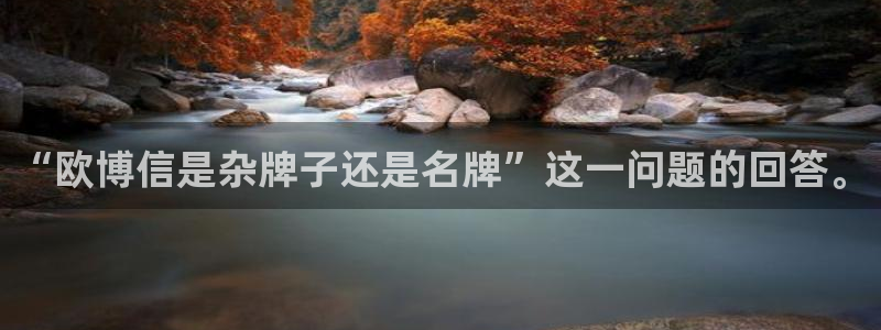 BB贝博艾弗森苹果手机下载链接：“欧博信是杂牌子还是名牌”这一问题的回答。