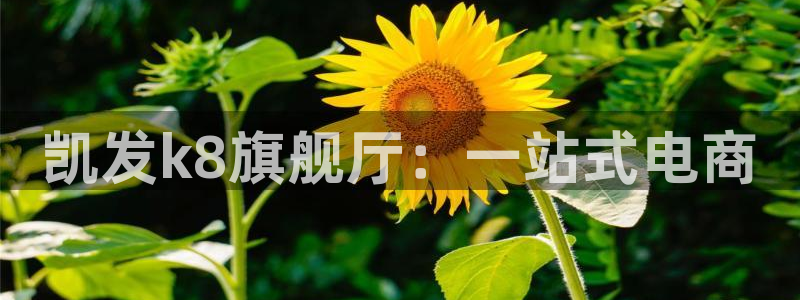 BB贝博艾弗森苹果手机下载链接：凯发k8旗舰厅：一站式电商
