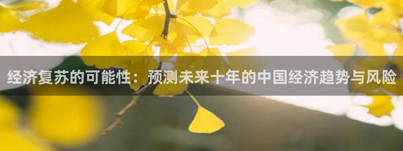 BB贝博艾弗森app 是什么：经济复苏的可能性：预测未来十年的中国经济趋势与风险