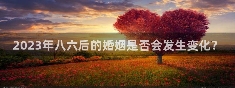 BB贝博艾弗森体育注册代理：2023年八六后的婚姻是否会发生变化？