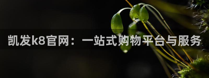 BB贝博艾弗森：凯发k8官网：一站式购物平台与服务