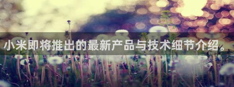 BB贝博艾弗森平台在线注册：小米即将推出的最新产品与技术细节介绍。