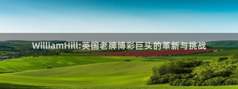 BB贝博艾弗森体育注册：WilliamHill:英国老牌博彩巨头的革新与挑战