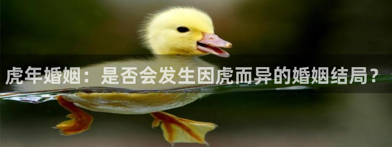 BB贝博艾弗森app注册地址：虎年婚姻：是否会发生因虎而异的婚姻结局？
