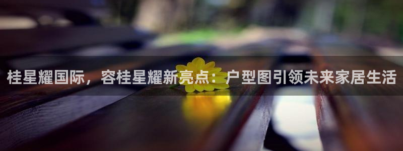 BB贝博艾弗森注册平台：桂星耀国际，容桂星耀新亮点：户型图引领未来家居生活