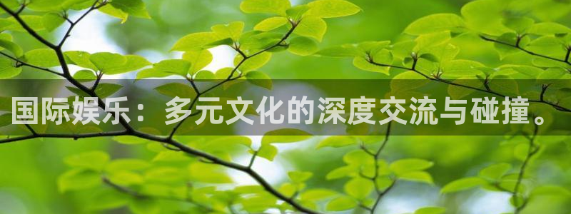 BB贝博艾弗森体育：国际娱乐：多元文化的深度交流与碰撞。