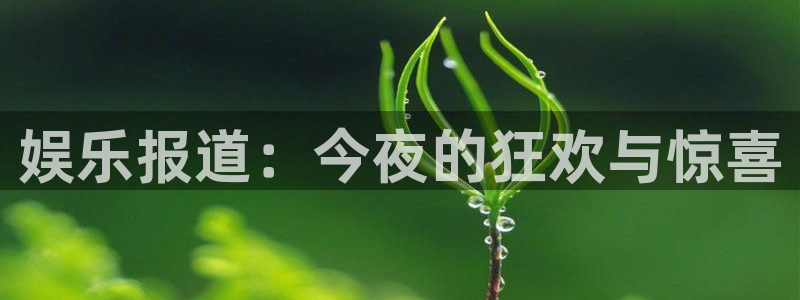 BB贝博艾弗森平台官网入口：娱乐报道：今夜的狂欢与惊喜