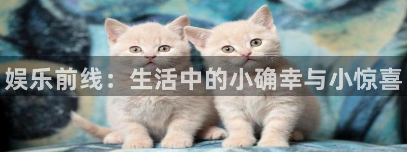 BB贝博艾弗森网站登录流程：娱乐前线：生活中的小确幸与小惊喜