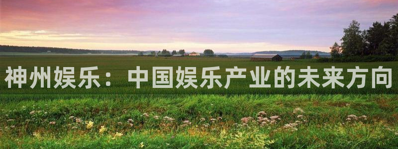 BB贝博艾弗森游戏官网版：神州娱乐：中国娱乐产业的未来方向