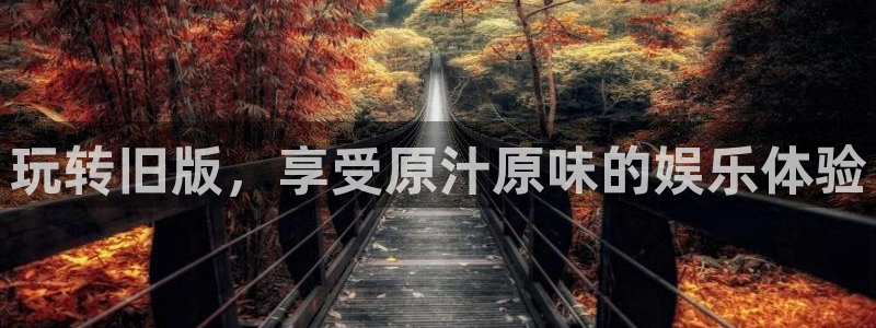 BB贝博艾弗森零能源集团