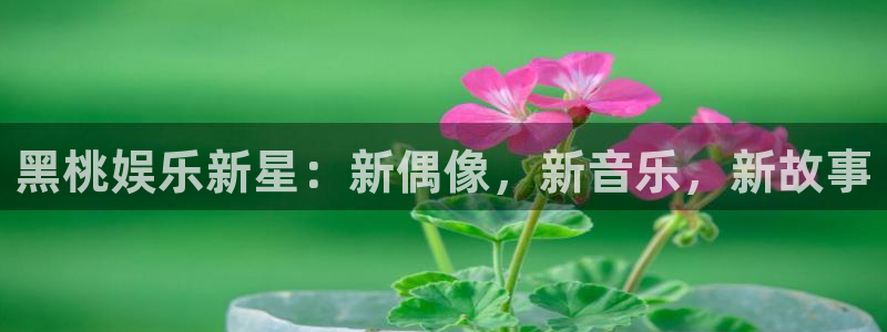 BB贝博艾弗森现在优惠多少：黑桃娱乐新星：新偶像，新音乐，新故事