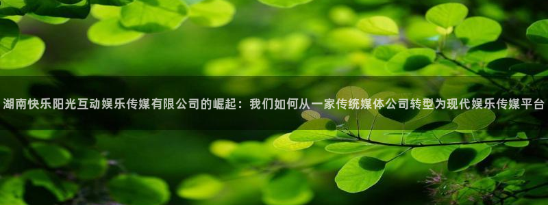 BB贝博艾弗森体育娱乐注册链接：湖南快乐阳光互动娱乐传媒有限公司的崛起：我们如何从一家传统媒体公司转型为现代娱乐传媒平台