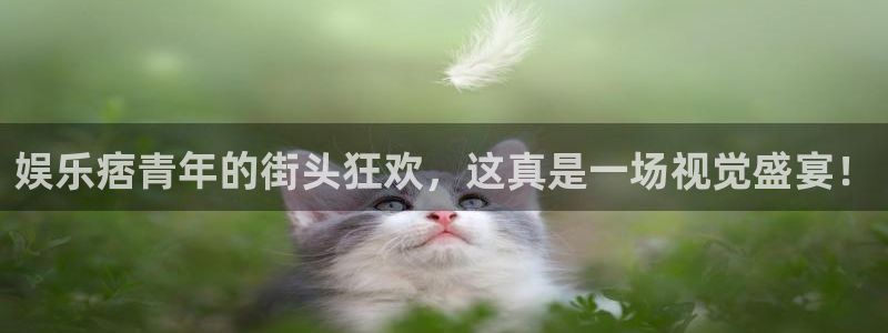 BB贝博艾弗森体育免费注册入口：娱乐痞青年的街头狂欢，这真是一场视觉盛宴！