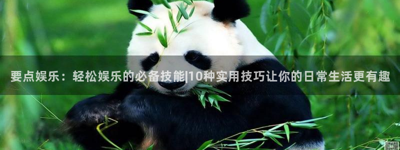 BB贝博艾弗森怎么下载：要点娱乐：轻松娱乐的必备技能|10种实用技巧让你的日常生活更有趣