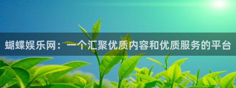BB贝博艾弗森登陆：蝴蝶娱乐网：一个汇聚优质内容和优质服务的平台