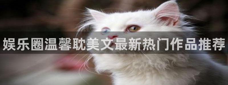 BB贝博艾弗森2体育登录入口：娱乐圈温馨耽美文最新热门作品推荐