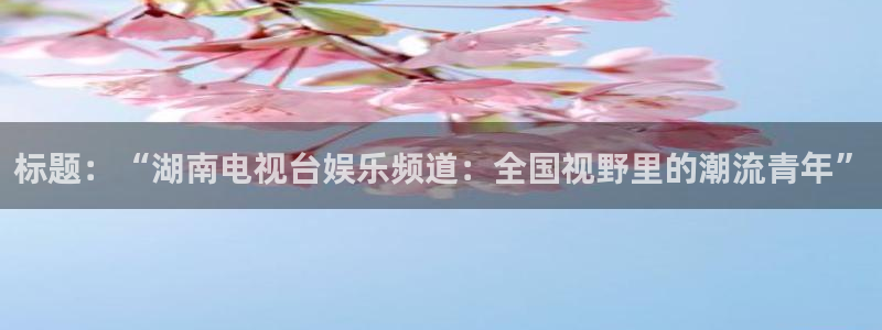 BB贝博艾弗森游戏试玩：标题：“湖南电视台娱乐频道：全国视野里的潮流青年”