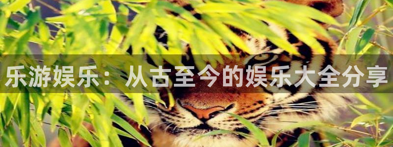 BB贝博艾弗森下载二维码：乐游娱乐：从古至今的娱乐大全分享