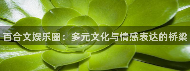 BB贝博艾弗森4平台：百合文娱乐圈：多元文化与情感表达的桥梁