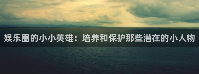 成都BB贝博艾弗森电子有限公司：娱乐圈的小小英雄：培养和保护那些潜在的小人物