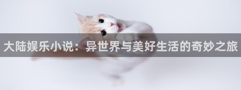 BB贝博艾弗森登录：大陆娱乐小说：异世界与美好生活的奇妙之旅