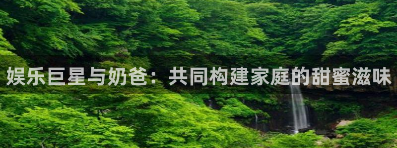 BB贝博艾弗森体育用品：娱乐巨星与奶爸：共同构建家庭的甜蜜滋味
