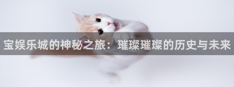 BB贝博艾弗森下载链接是多少：宝娱乐城的神秘之旅：璀璨璀璨的历史与未来