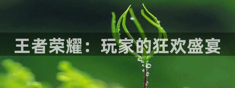BB贝博艾弗森平台：王者荣耀：玩家的狂欢盛宴