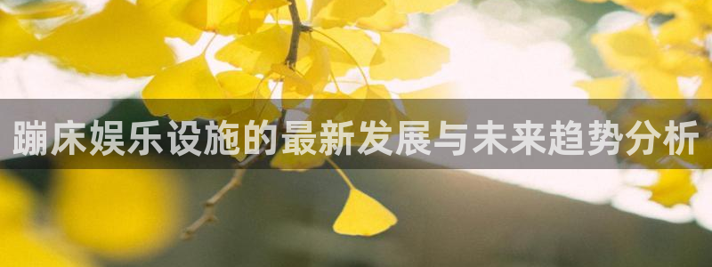 BB贝博艾弗森3注册：蹦床娱乐设施的最新发展与未来趋势分析