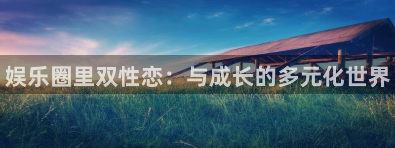 BB贝博艾弗森4代理：娱乐圈里双性恋：与成长的多元化世界