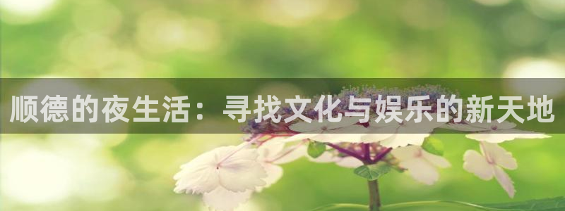 BB贝博艾弗森官网地址