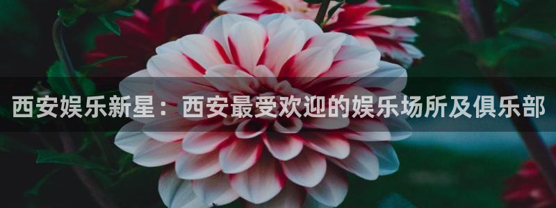 BB贝博艾弗森体育免费注册入口：西安娱乐新星：西安最受欢迎的娱乐场所及俱乐部