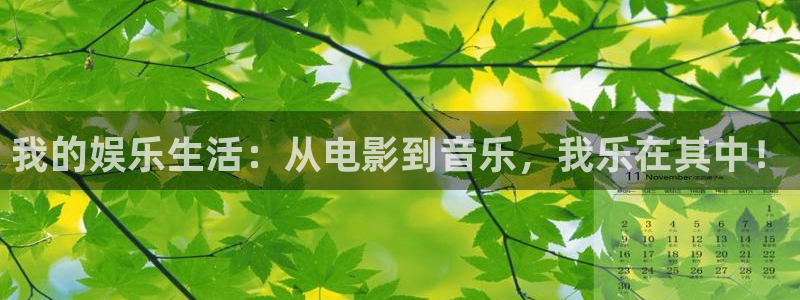 BB贝博艾弗森下载二维码：我的娱乐生活：从电影到音乐，我乐在其中！
