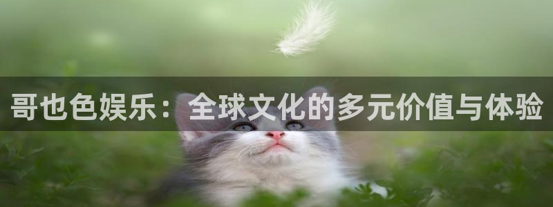 BB贝博艾弗森平台开户链接：哥也色娱乐：全球文化的多元价值与体验