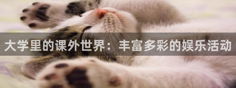 BB贝博艾弗森体育注册登录入口：大学里的课外世界：丰富多彩的娱乐活动