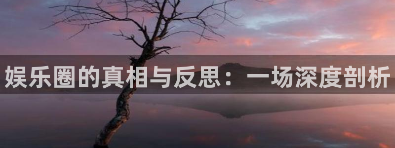 BB贝博艾弗森游app：娱乐圈的真相与反思：一场深度剖析