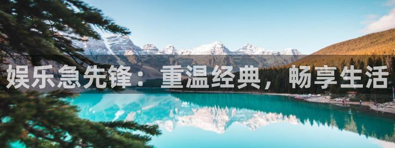 BB贝博艾弗森2体育登录入口：娱乐急先锋：重温经典，畅享生活