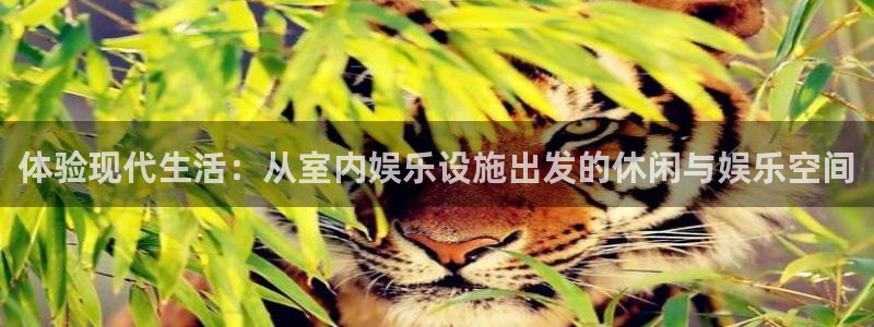 BB贝博艾弗森ccmpc麻将胡了：体验现代生活：从室内娱乐设施出发的休闲与娱乐空间