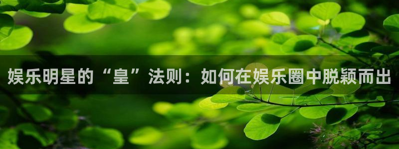 BB贝博艾弗森.ccmpc登录：娱乐明星的“皇”法则：如何在娱乐圈中脱颖而出