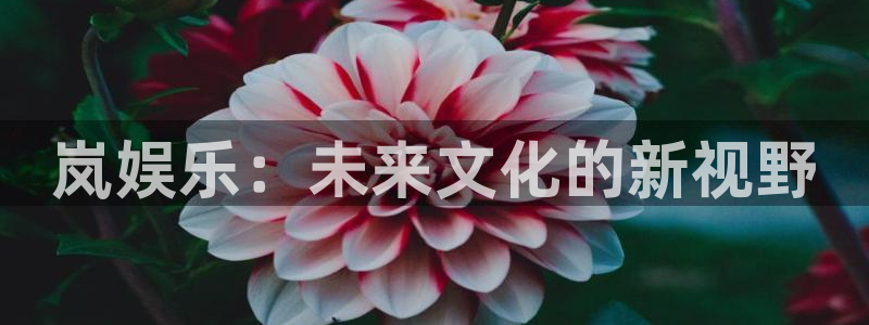 BB贝博艾弗森quan28.cc：岚娱乐：未来文化的新视野