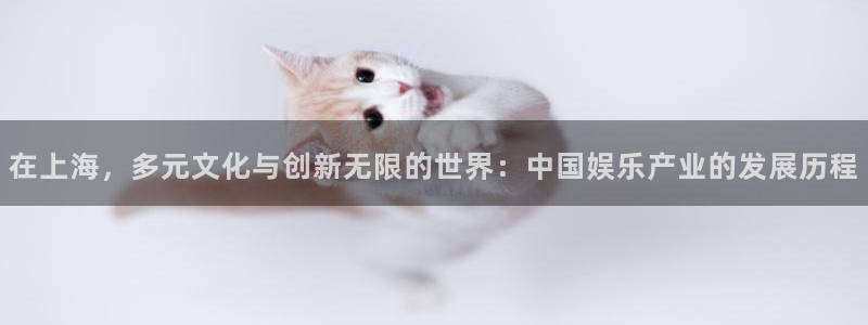 BB贝博艾弗森2注册：在上海，多元文化与创新无限的世界：中国娱乐产业的发展历程